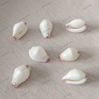 Little Egg Cowrie Shells Natural Seashells for Jewelry Crafts DIY Beach Decor